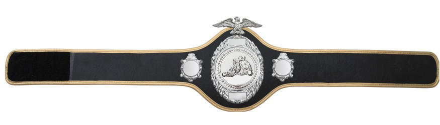 JIU JITSU CHAMPIONSHIP BELT-PRO288/S/JJS - 10 COLOURS JIU JITSU CHAMPIONSHIP BELT-PRO288/S/JJS - 10 COLOURS